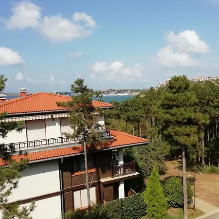 Studio In Marina *